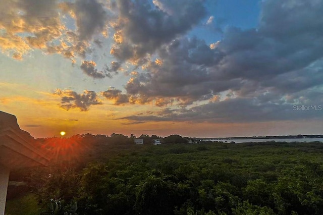 view of nature at dusk