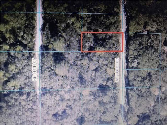 TBA NE 144th Ter, Fort Mc Coy FL, 32134 land for sale