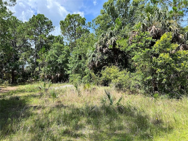 TBD Girard Rd, Hudson FL, 34679 land for sale