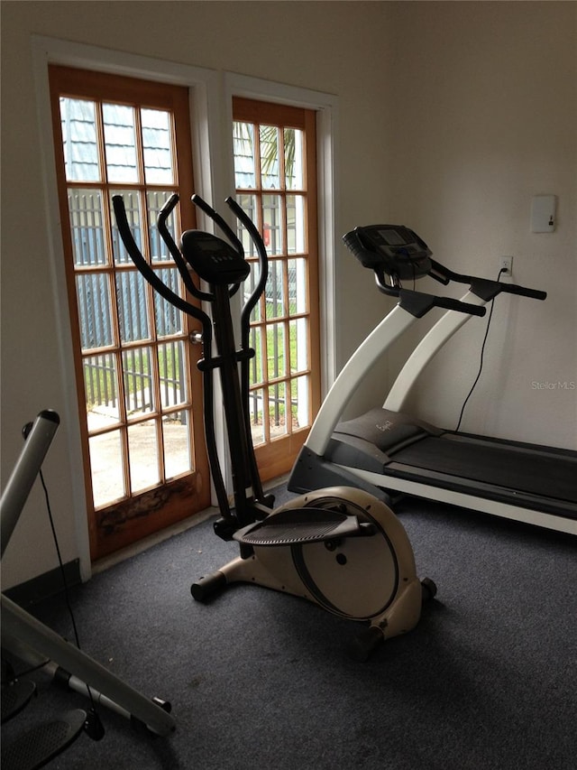 exercise area featuring carpet and plenty of natural light