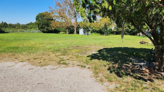 view of yard featuring a shed