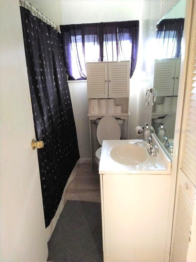 bathroom featuring vanity, toilet, and a shower with shower curtain