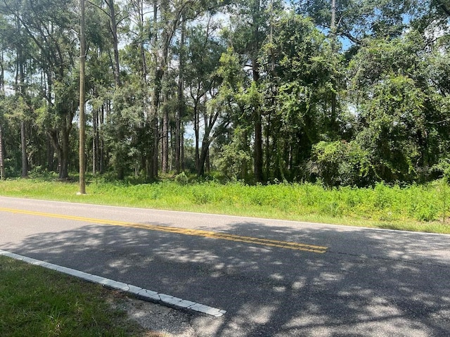 LOT16 Richardson Blvd, Webster FL, 33597 land for sale