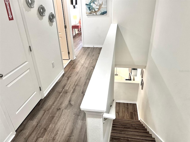 stairway with hardwood / wood-style floors