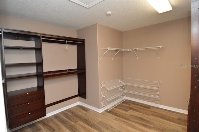 spacious closet featuring light wood-type flooring