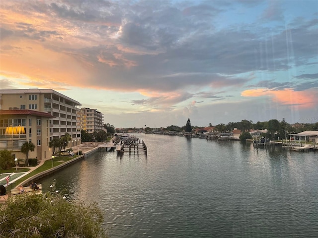 water view featuring a boat dock