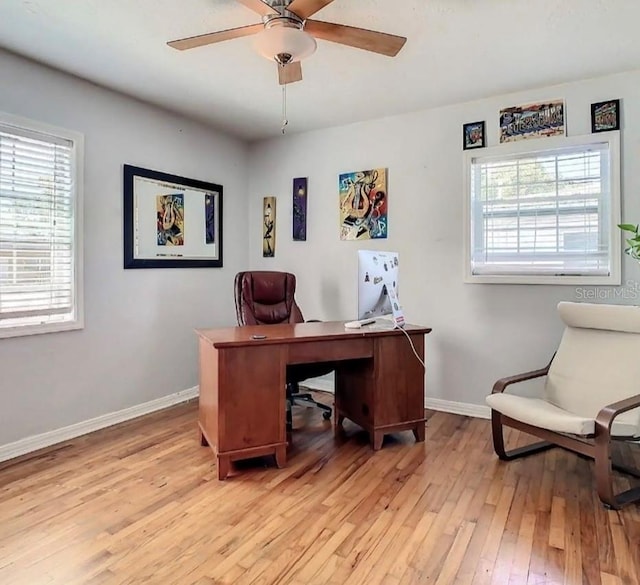 office space featuring light hardwood / wood-style flooring and ceiling fan