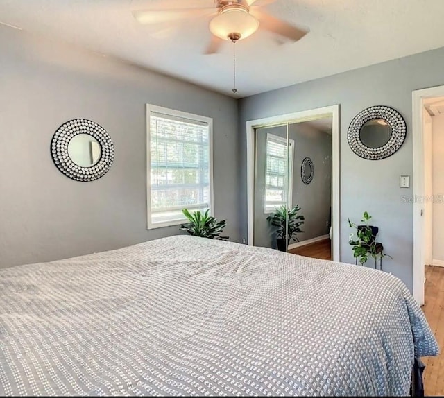 bedroom with a closet, ceiling fan, and light hardwood / wood-style flooring