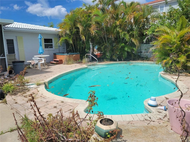 view of pool with a patio area and a jacuzzi