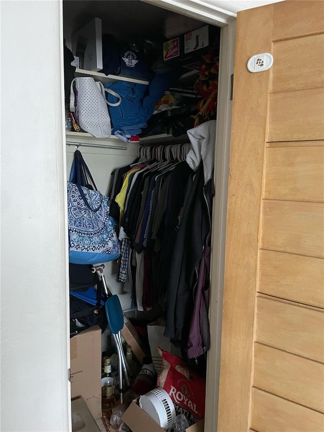 view of closet