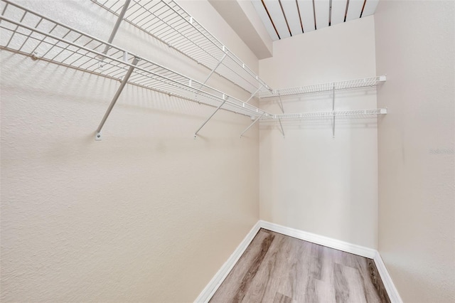 walk in closet featuring wood-type flooring