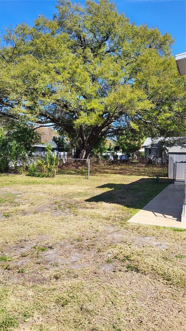 31st St S, Saint Petersburg, FL 33712 - photo 4