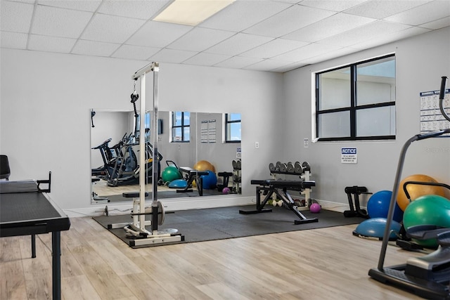 exercise area with a drop ceiling and dark hardwood / wood-style flooring