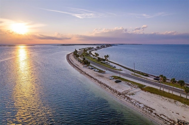 property view of water with a beach view