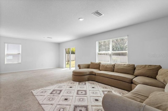 carpeted living room with a textured ceiling