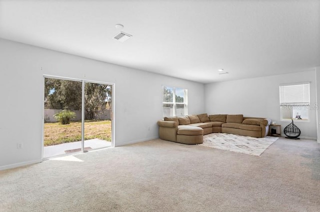 10913 Trailing Vine Dr, Tampa, FL 33610 - photo 10