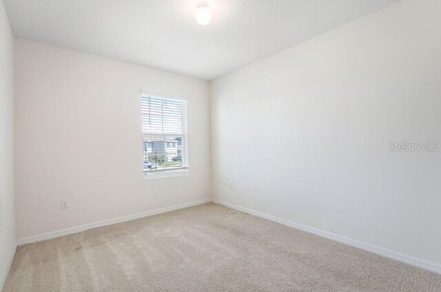 10913 Trailing Vine Dr, Tampa, FL 33610 - photo 28