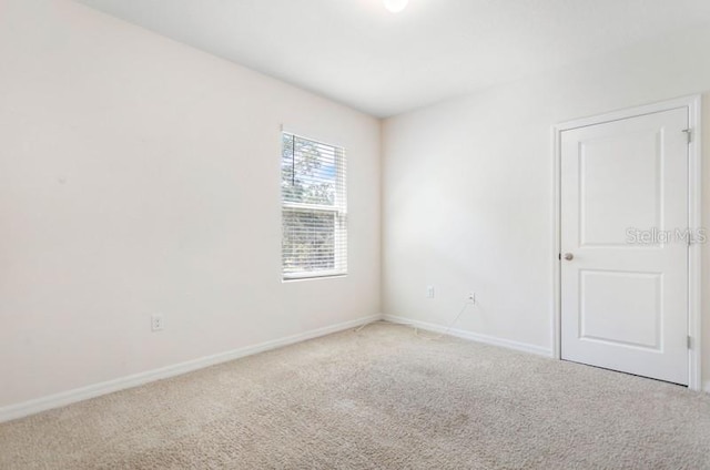 10913 Trailing Vine Dr, Tampa, FL 33610 - photo 29