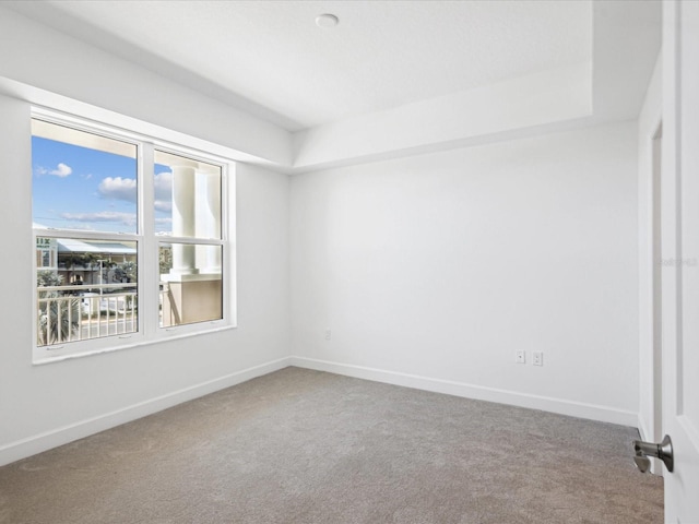 unfurnished room with carpet floors and a tray ceiling