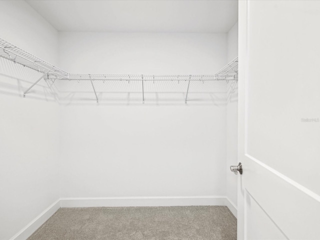 walk in closet with carpet