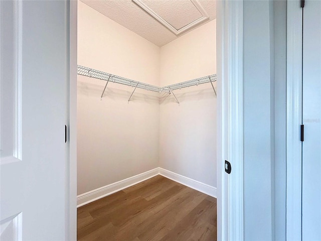 walk in closet featuring attic access and dark wood-type flooring