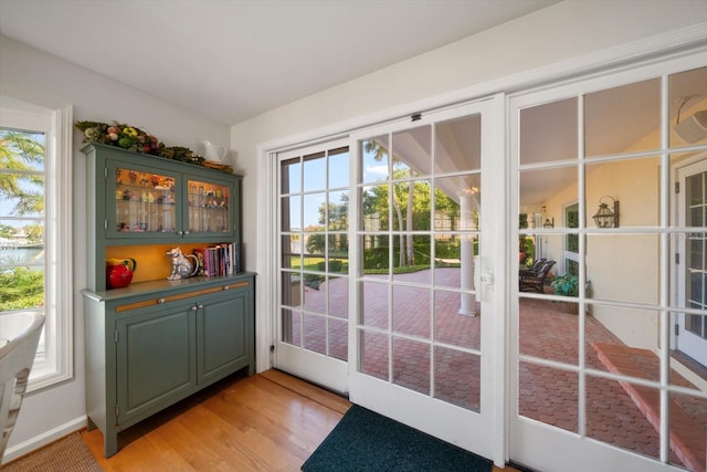 doorway featuring plenty of natural light and light wood-type flooring