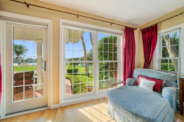 entryway featuring plenty of natural light and hardwood / wood-style floors