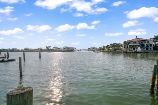 property view of water with a dock