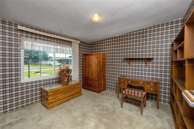 living area featuring carpet and a textured ceiling