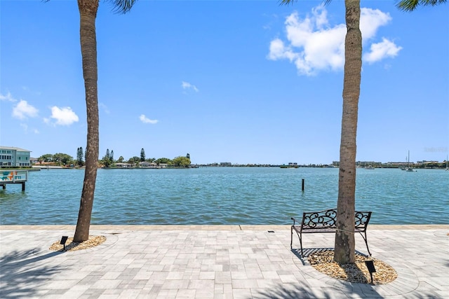 dock area with a water view