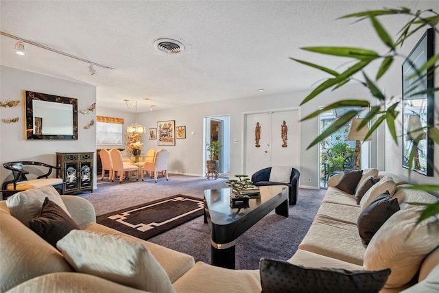 carpeted living room with a textured ceiling, a healthy amount of sunlight, and rail lighting