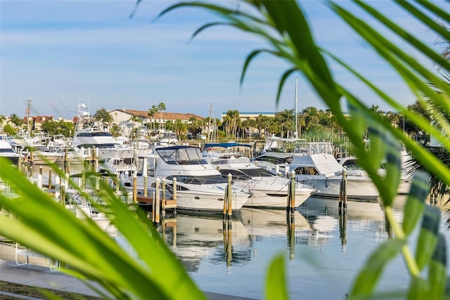 dock area with a water view