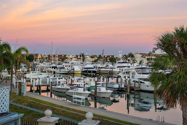 dock area featuring a water view