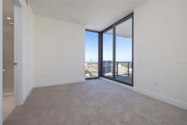 empty room with light carpet and expansive windows