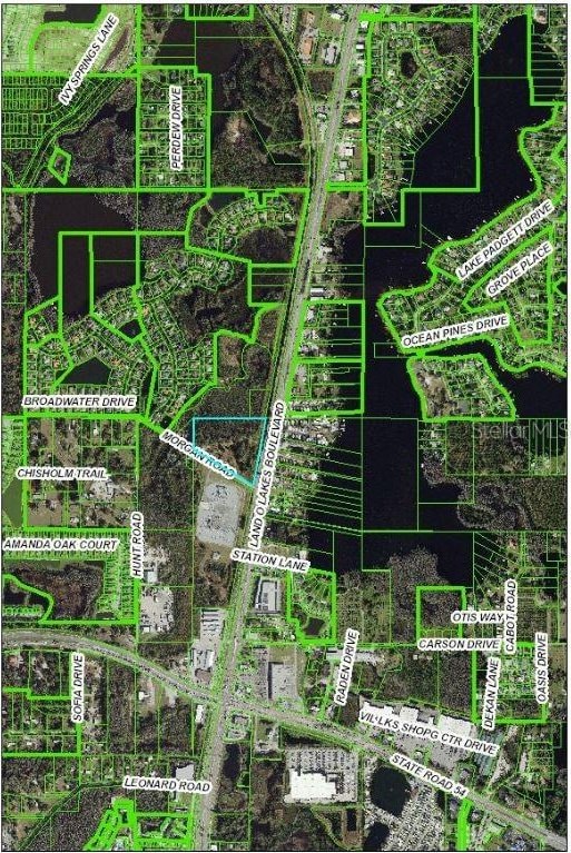 21201 Morgan Rd, Land O Lakes, FL 34638