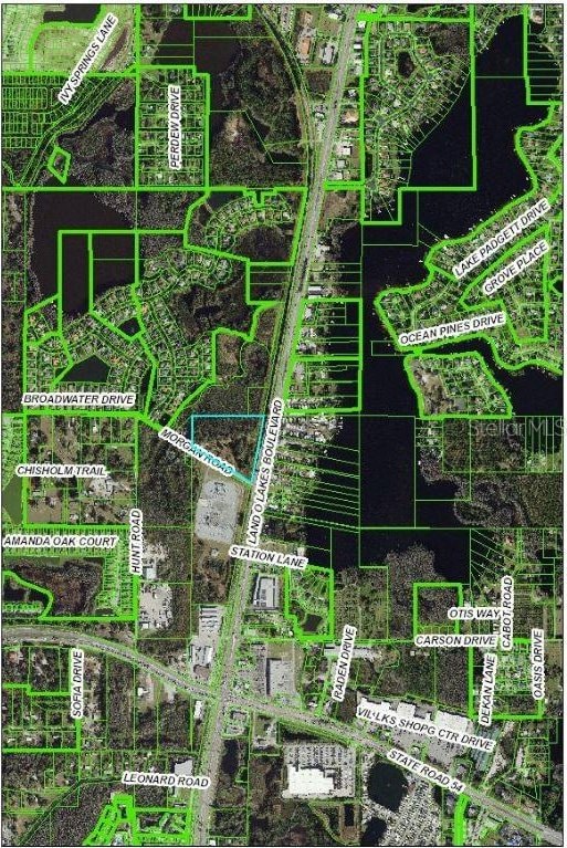 21201 Morgan Rd, Land O Lakes FL, 34638 land for sale