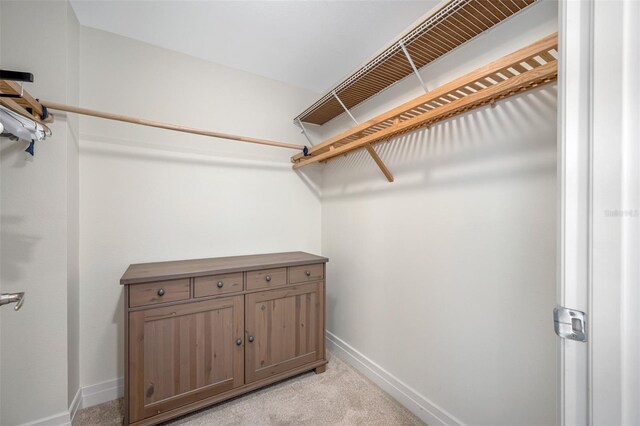 walk in closet featuring light colored carpet