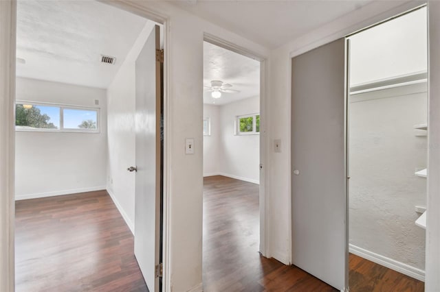 hallway featuring dark hardwood / wood-style flooring