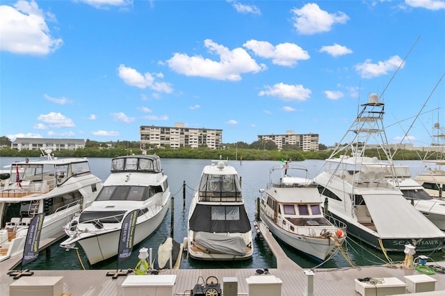 dock area featuring a water view