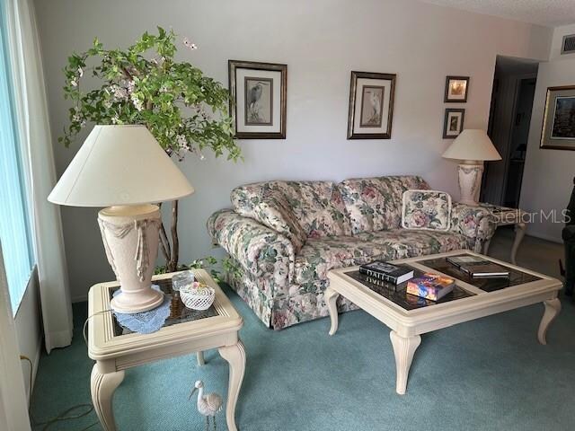 living room featuring carpet floors