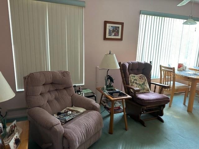 living area featuring carpet flooring