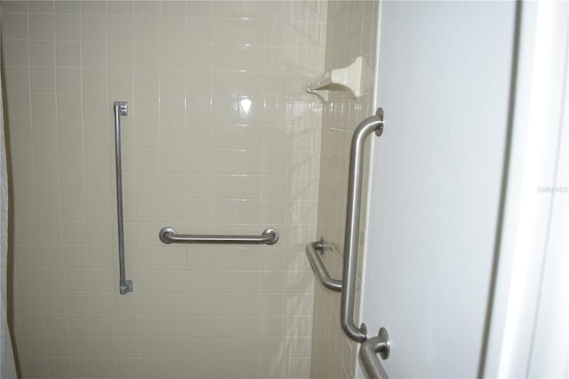 details with a shower with door