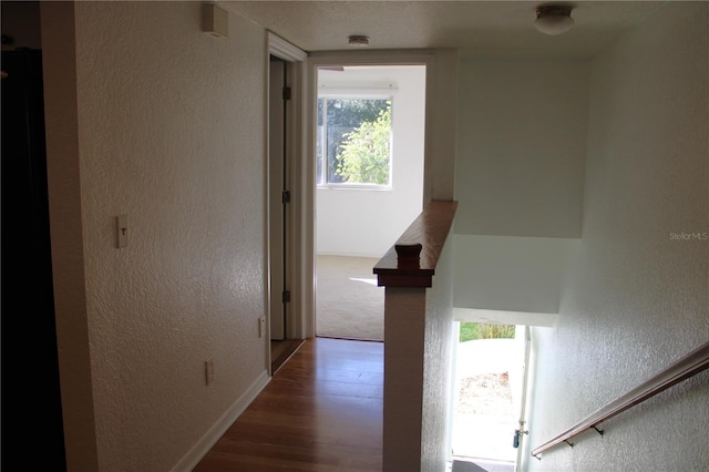 hall featuring dark hardwood / wood-style floors and a healthy amount of sunlight