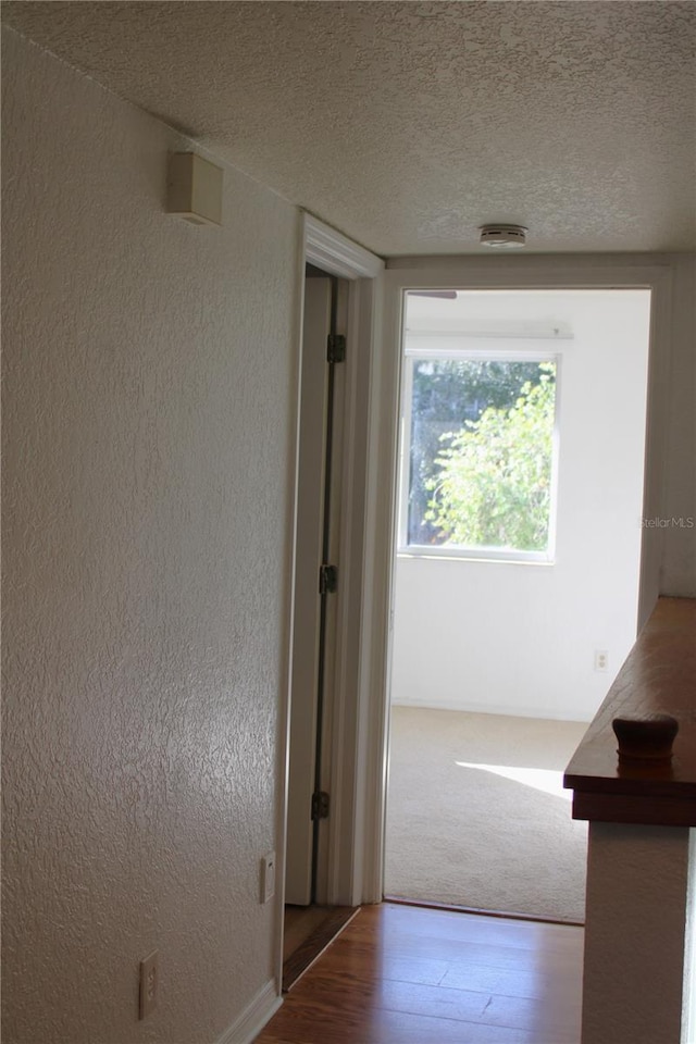 hall featuring hardwood / wood-style flooring and a textured ceiling