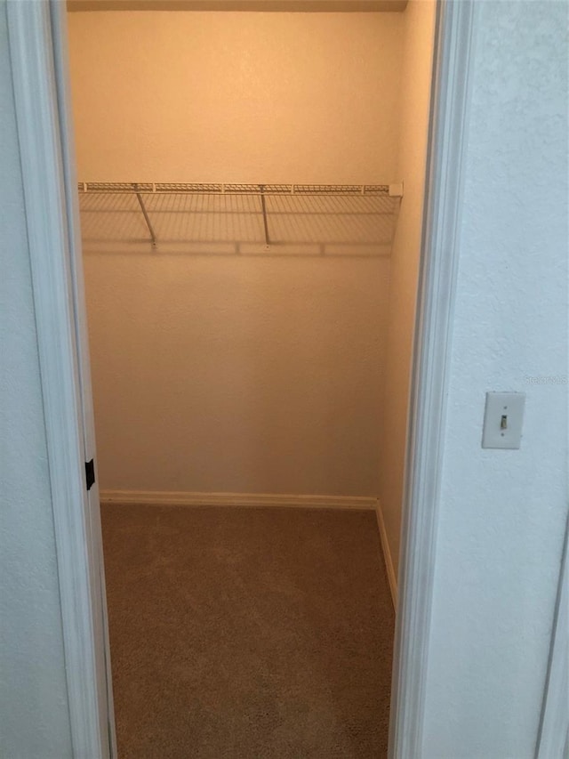 spacious closet with carpet floors