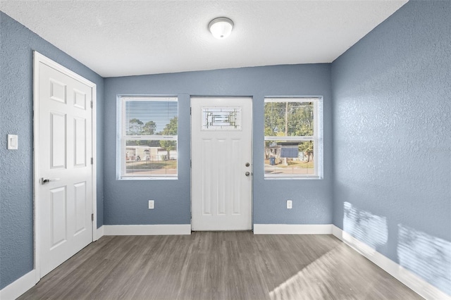 entryway featuring hardwood / wood-style floors, a textured ceiling, a wealth of natural light, and lofted ceiling