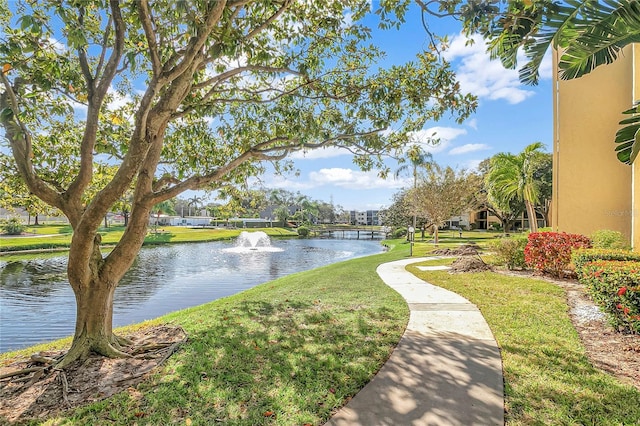 property view of water