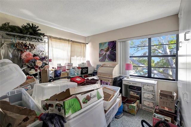 misc room with carpet flooring and a textured ceiling