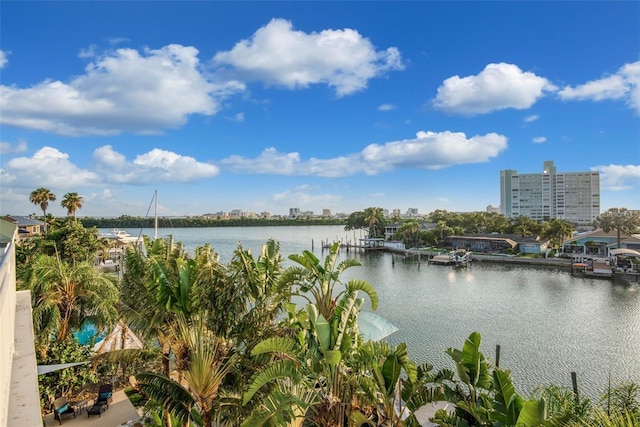 property view of water with a boat dock