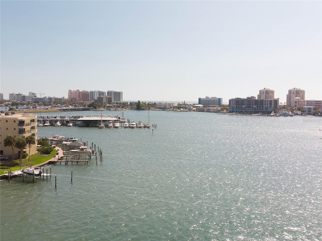 water view featuring a boat dock